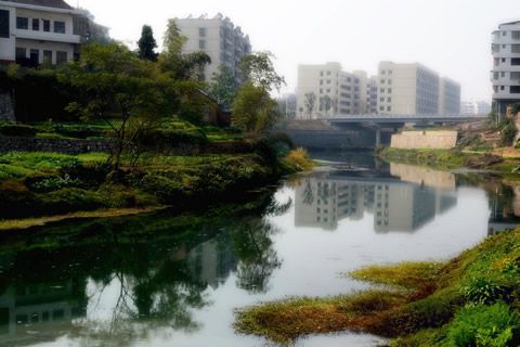 『隨華全，觀天下』 ——走進漣水