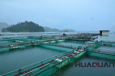 華全動(dòng)力大講堂：養(yǎng)殖業(yè)如何選擇柴油發(fā)電機(jī)組