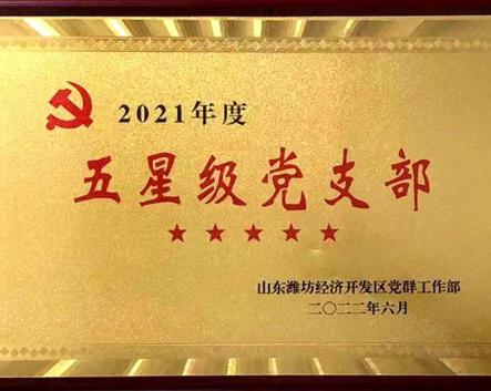 喜訊！華全集團黨支部被評為濰坊經濟開發區五星級黨支部